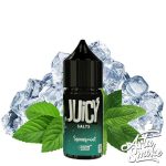 سالت جوسی نعناء JUICY SPEARMINT